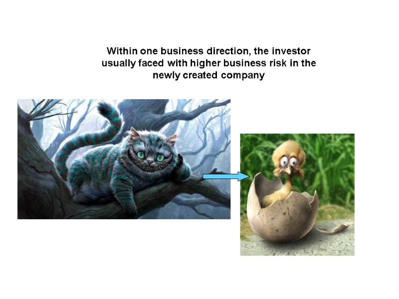 Within one business direction, the investor usually faced with higher business risk in the